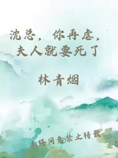 沈总，你再虐，夫人就要死了